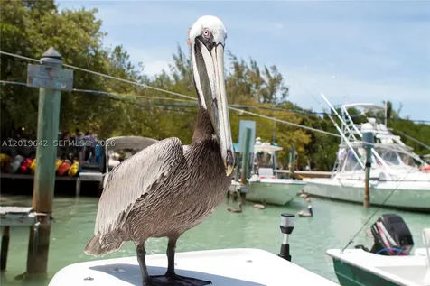 8 Ocean View Boulevard Key Largo FL 33037