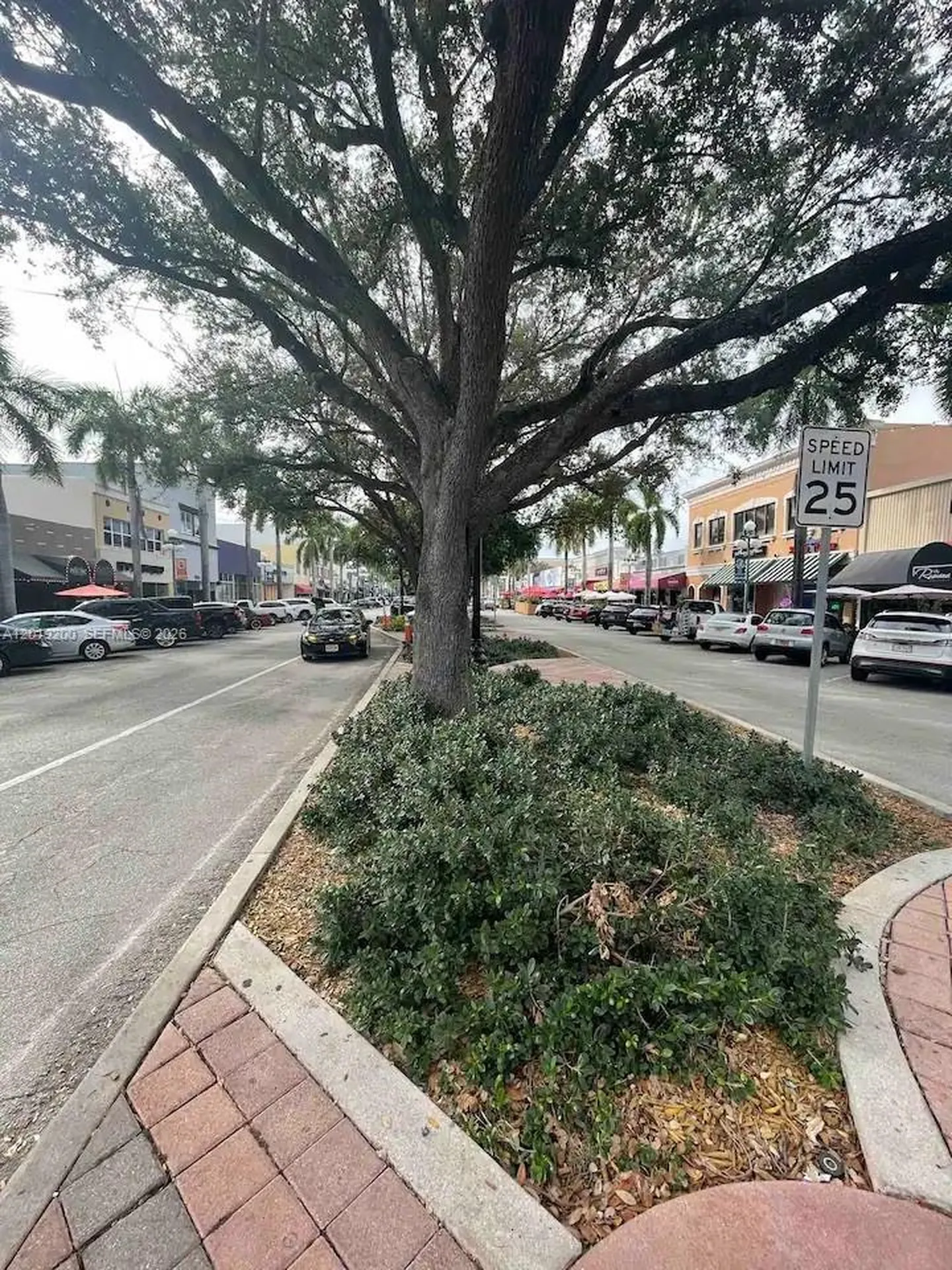 1925 Dewey Street Hollywood FL 33020