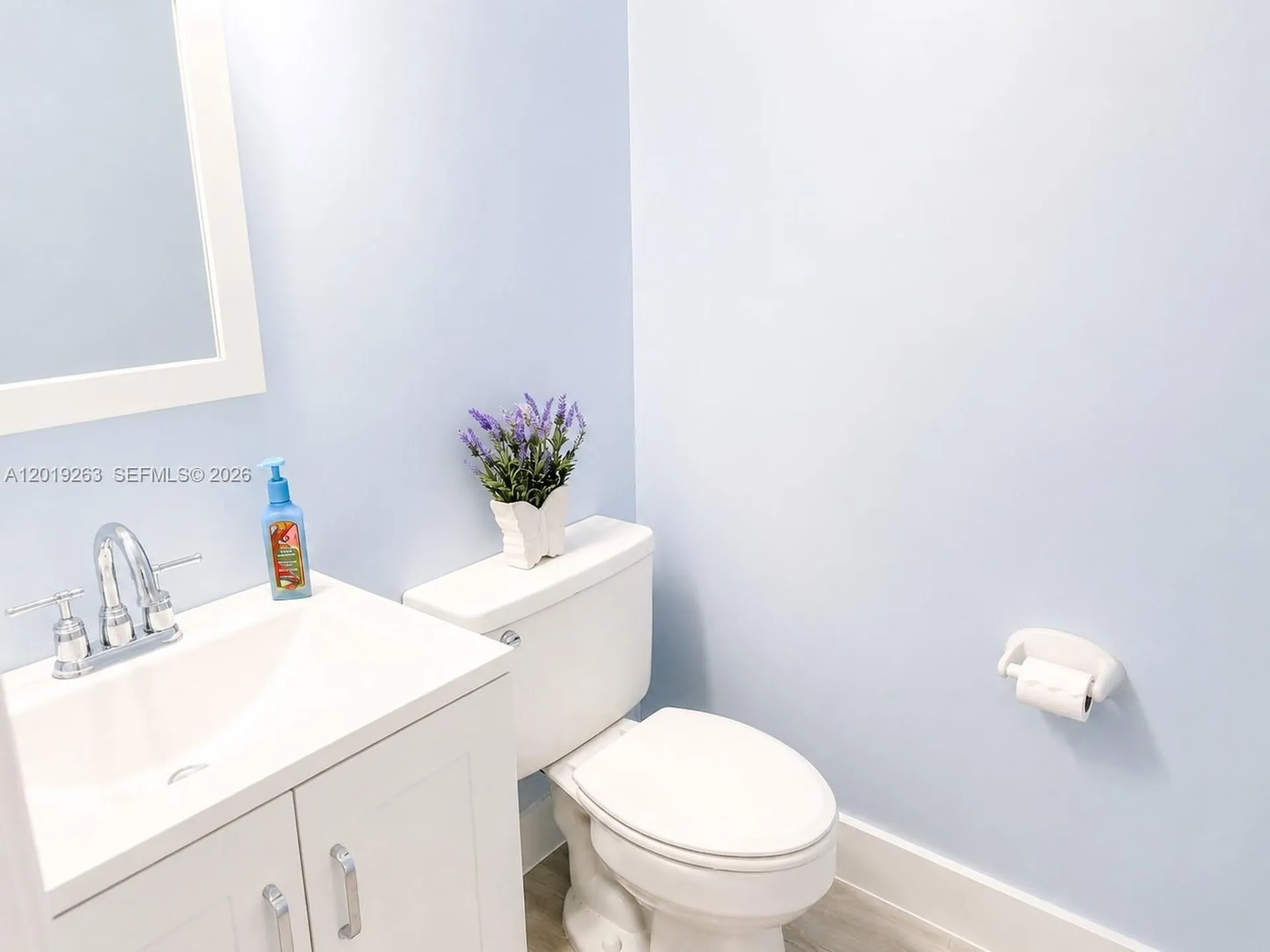 11461 Lakeview Drive Coral Springs FL 33071