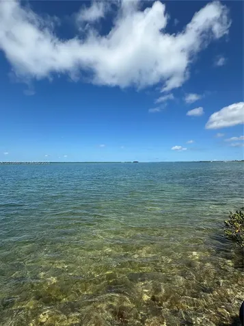 Lot 27 Dorn Road Little Torch Key FL 33042