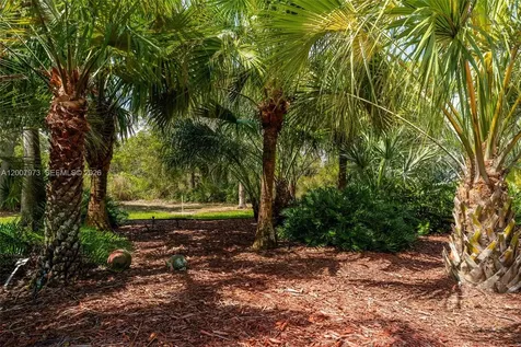 256 Cumquat Road NW Lake Placid FL 33852