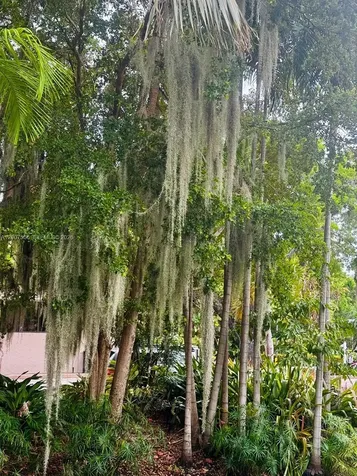 101 Crandon Boulevard Key Biscayne FL 33149
