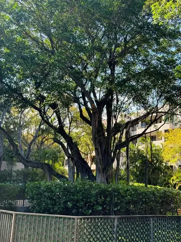 101 Crandon Boulevard Key Biscayne FL 33149