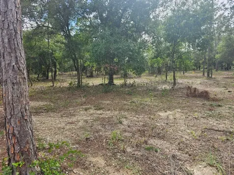 820 & 830 S Jasmine Street Clewiston FL 33440