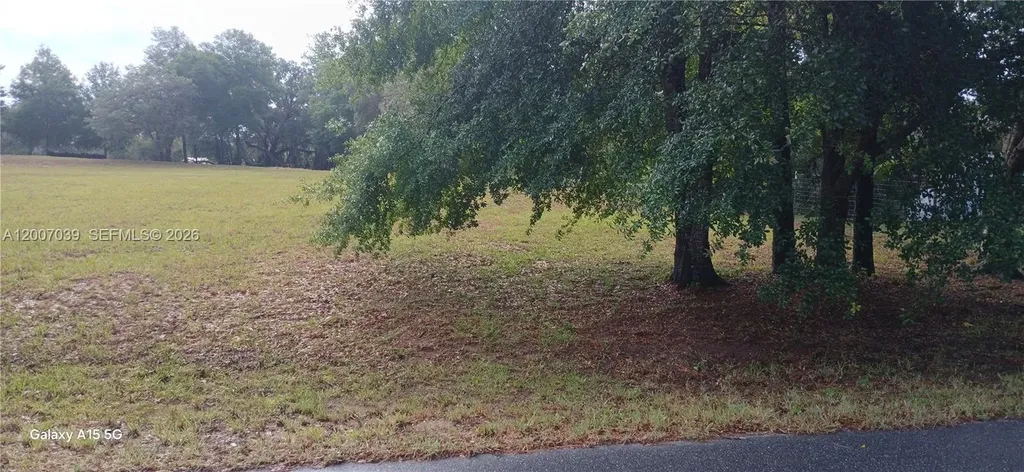 10233 S Appaloosa Avenue Other City - In The State Of Florida FL 34436