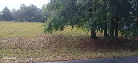 10233 S Appaloosa Avenue Other City - In The State Of Florida FL 34436