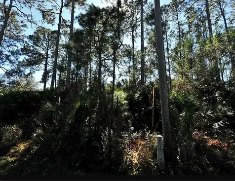 2899 Alling North Port FL 34286