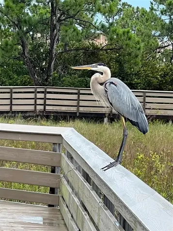 184 W Bay Cedar Circle Jupiter FL 33458