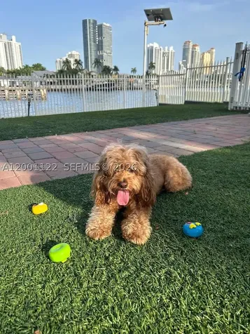 3600 Mystic Pointe Drive Aventura FL 33180