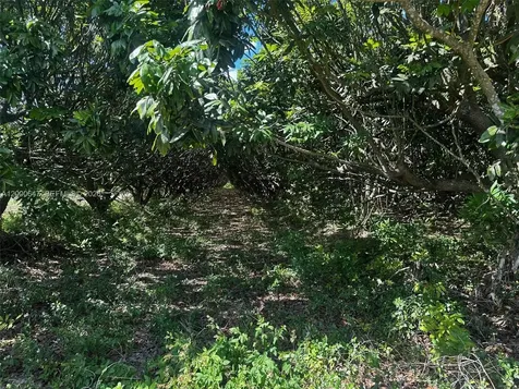 226XX SW 220 Avenue Homestead FL 33170