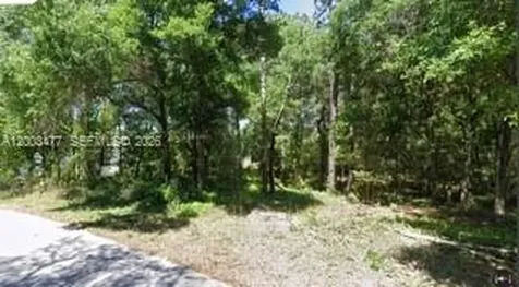 0 SW SW 97 Pl, Dunnellon Ocala FL 34432