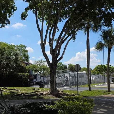 11035 SW 132nd Court Miami FL 33186