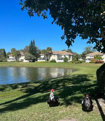 3901 Medford Court Boynton Beach FL 33436