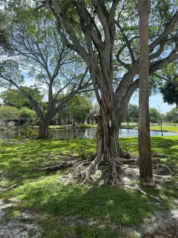 2312 S Cypress Bend Drive Pompano Beach FL 33069