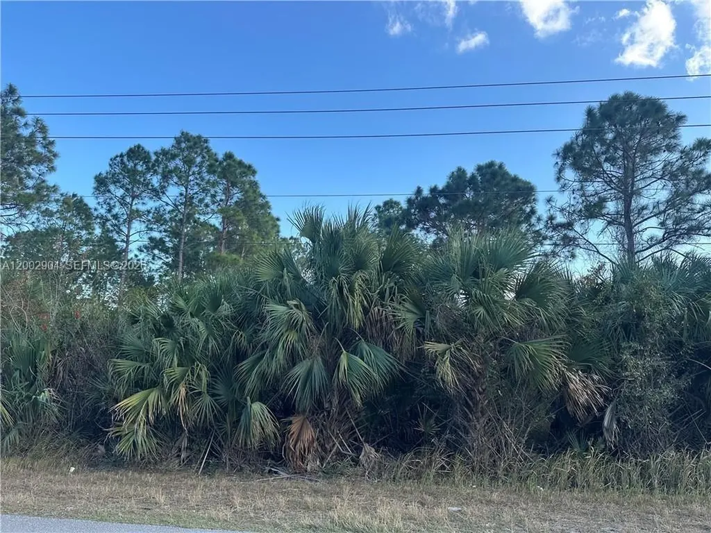 665 Woodcrest Lehigh Acres FL 33972