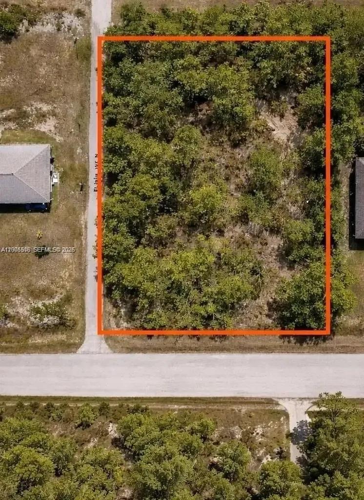 2910 Elaine Avenue N Lehigh Acres FL 33971
