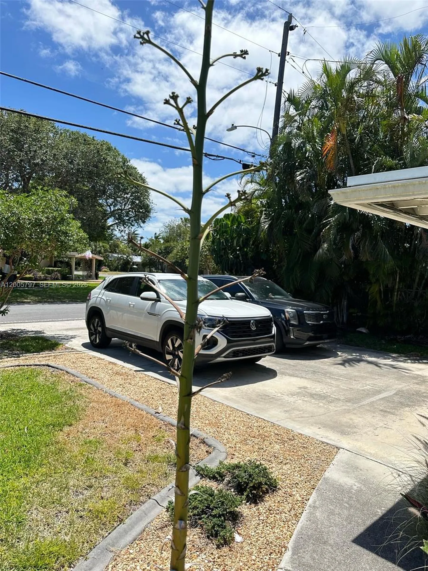 1753 NE 18th Street Fort Lauderdale FL 33305