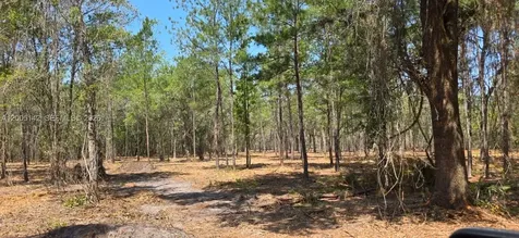 0 SE 225th Drive Other City - In The State Of Florida FL 32640