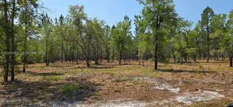 0 SE 225th Drive Other City - In The State Of Florida FL 32640
