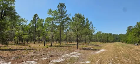 0 SE 225th Drive Other City - In The State Of Florida FL 32640