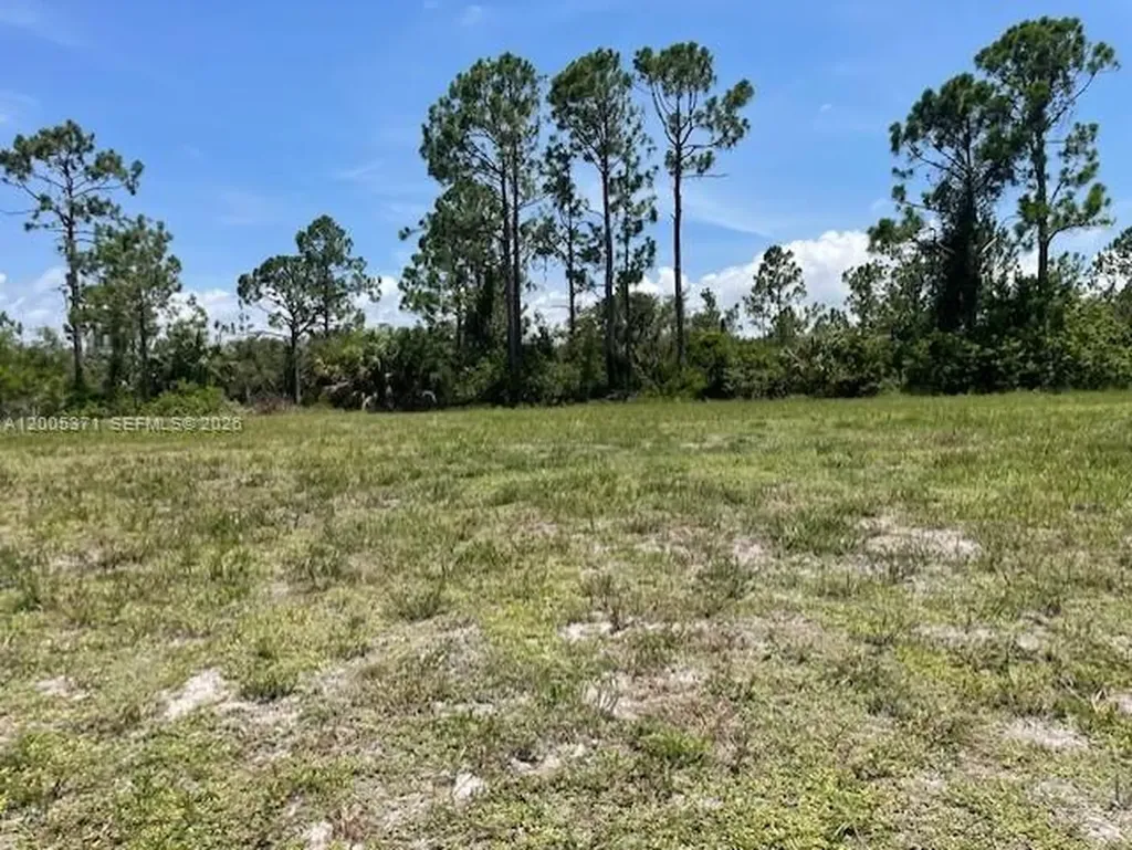 1616 NW 25 Lane Cape Coral FL 33993