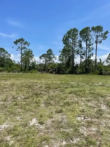 1616 NW 25 Lane Cape Coral FL 33993