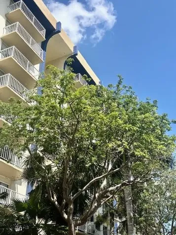 4550 NW 9th Street Miami FL 33126