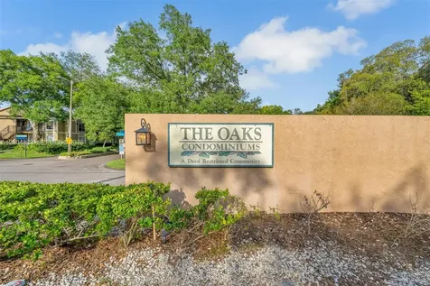 14315 Hanging Moss Circle Tampa FL 33613