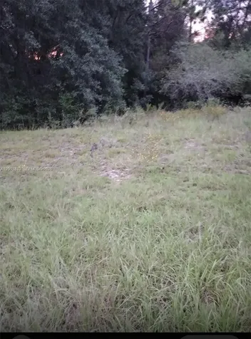 41 W Vince Place Citrus Springs FL 34434