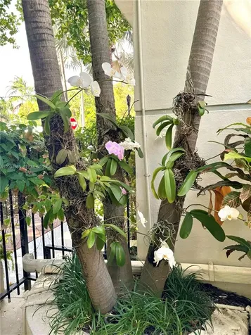 349 Meridian Avenue Miami Beach FL 33139