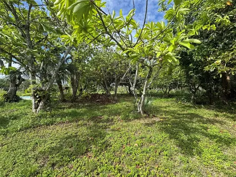 24000 SW 167th Avenue Homestead FL 33031