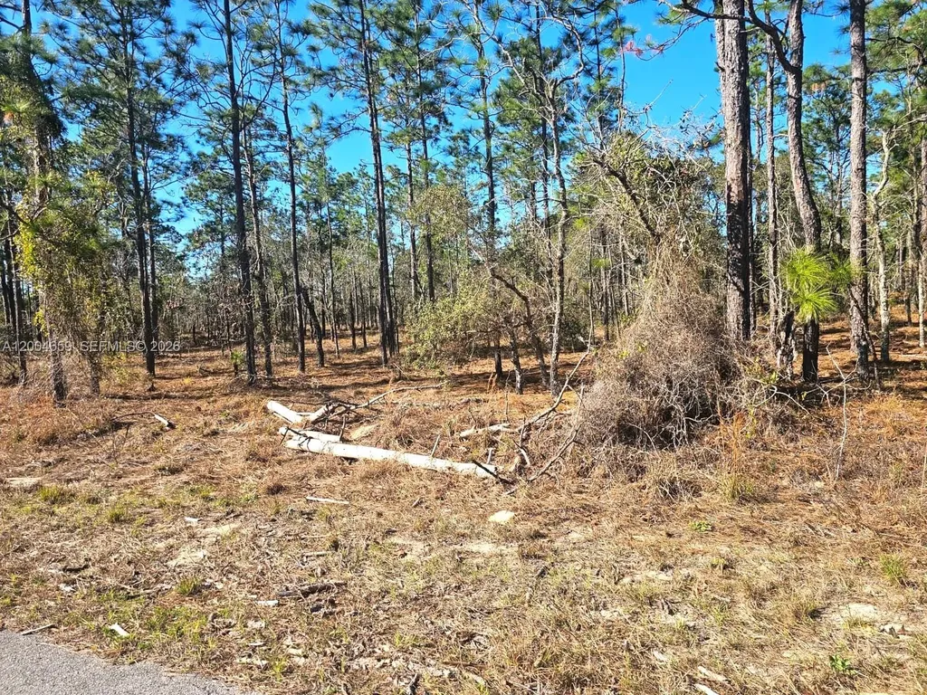 No Situs NW Shamrock Avenue Other City - In The State Of Florida FL 34431