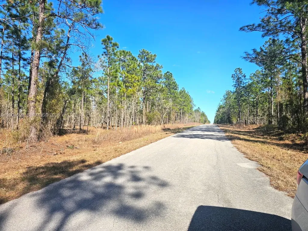 No Situs NW Shamrock Avenue Other City - In The State Of Florida FL 34431