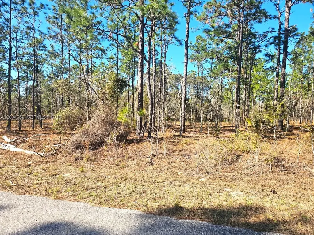 No Situs NW Shamrock Avenue Other City - In The State Of Florida FL 34431