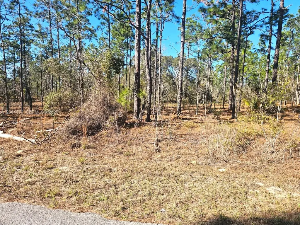 No Situs NW Shamrock Avenue Other City - In The State Of Florida FL 34431