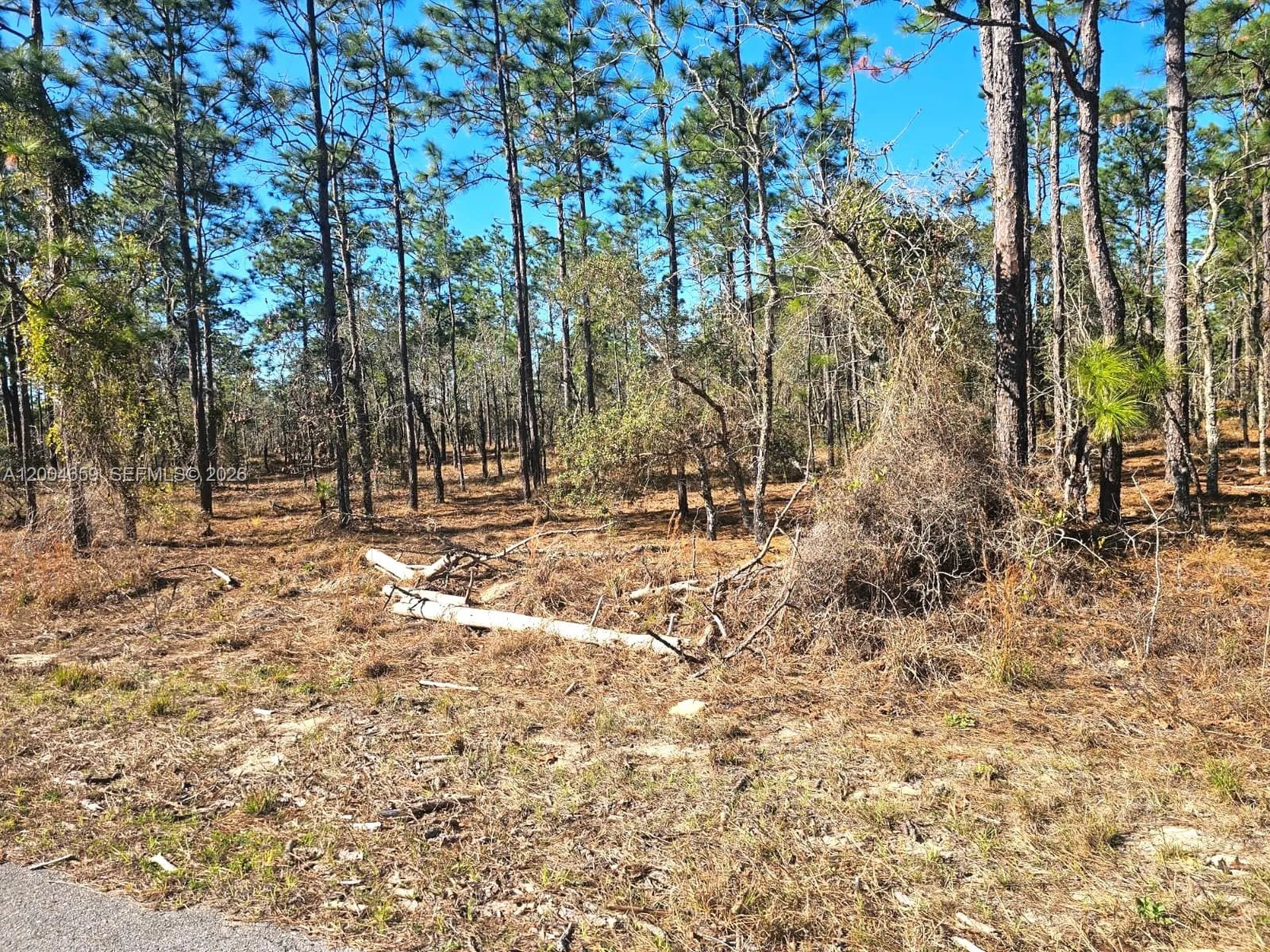 No Situs NW Shamrock Avenue Other City - In The State Of Florida FL 34431