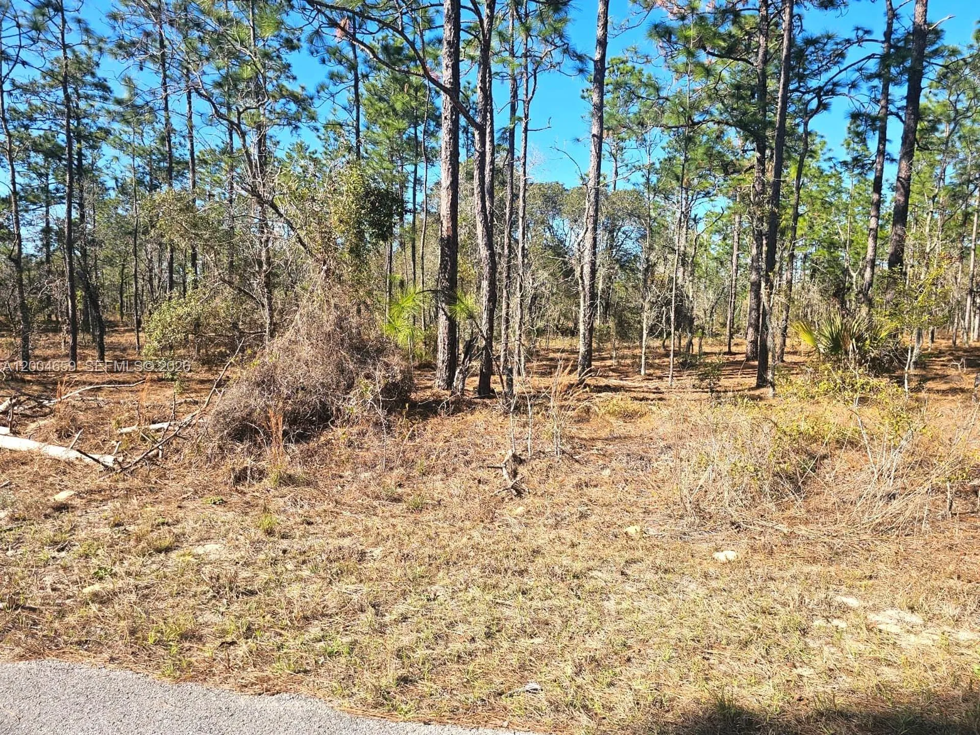 No Situs NW Shamrock Avenue Other City - In The State Of Florida FL 34431