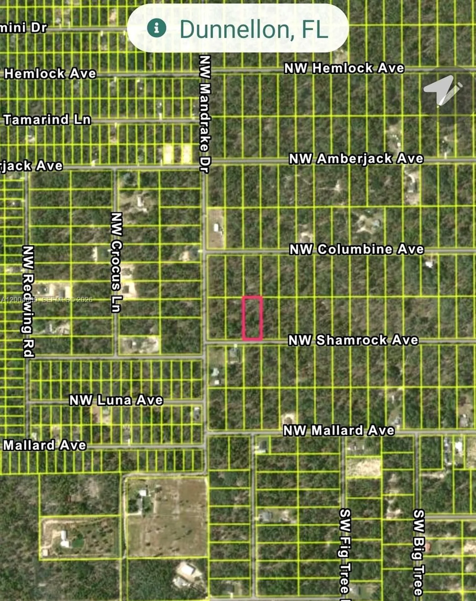 No Situs NW Shamrock Avenue Other City - In The State Of Florida FL 34431