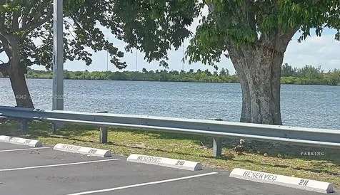 1075 NE Miami Gardens Drive Miami FL 33179