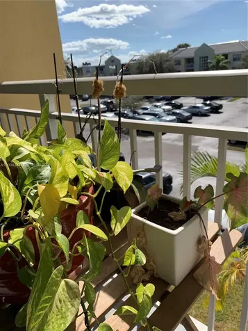 8660 SW 212th Street Cutler Bay FL 33189