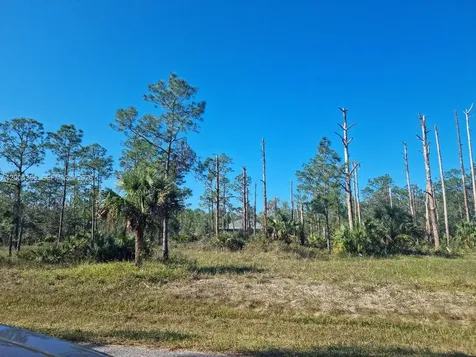 2309 Wellington Avenue Other City - In The State Of Florida FL 33920