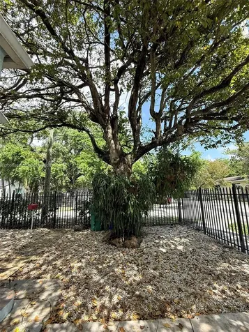 294 NE 57th Street Miami FL 33137