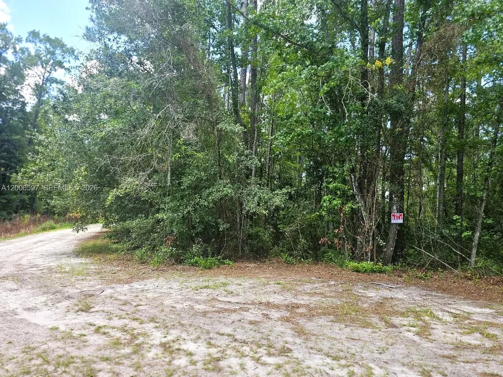 No Situs SE 2nd Street Palatka FL 32177