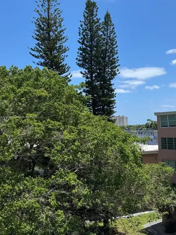200 NE 12th Avenue Hallandale Beach FL 33009