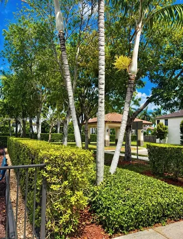 11742 SW 250th Street Homestead FL 33032