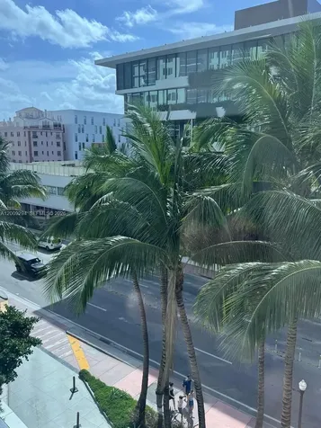 2301 Collins Avenue Miami Beach FL 33139