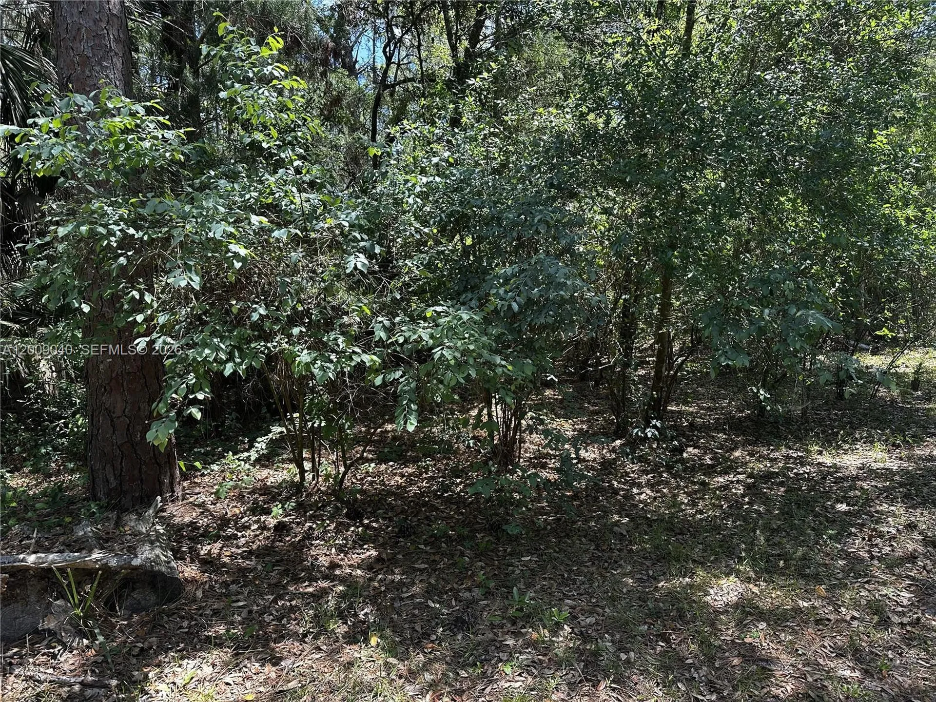7294 W Vineyard Drive Other City - In The State Of Florida FL 34448