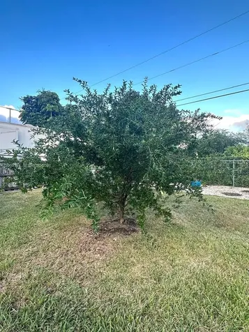 32151 SW 196th Avenue Homestead FL 33030