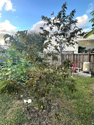 32151 SW 196th Avenue Homestead FL 33030