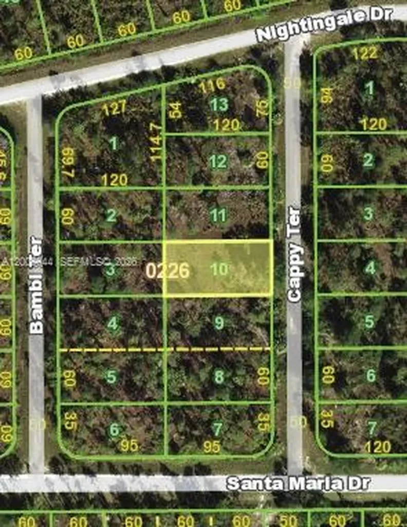 13347 Cappy Terrace Punta Gorda FL 33955